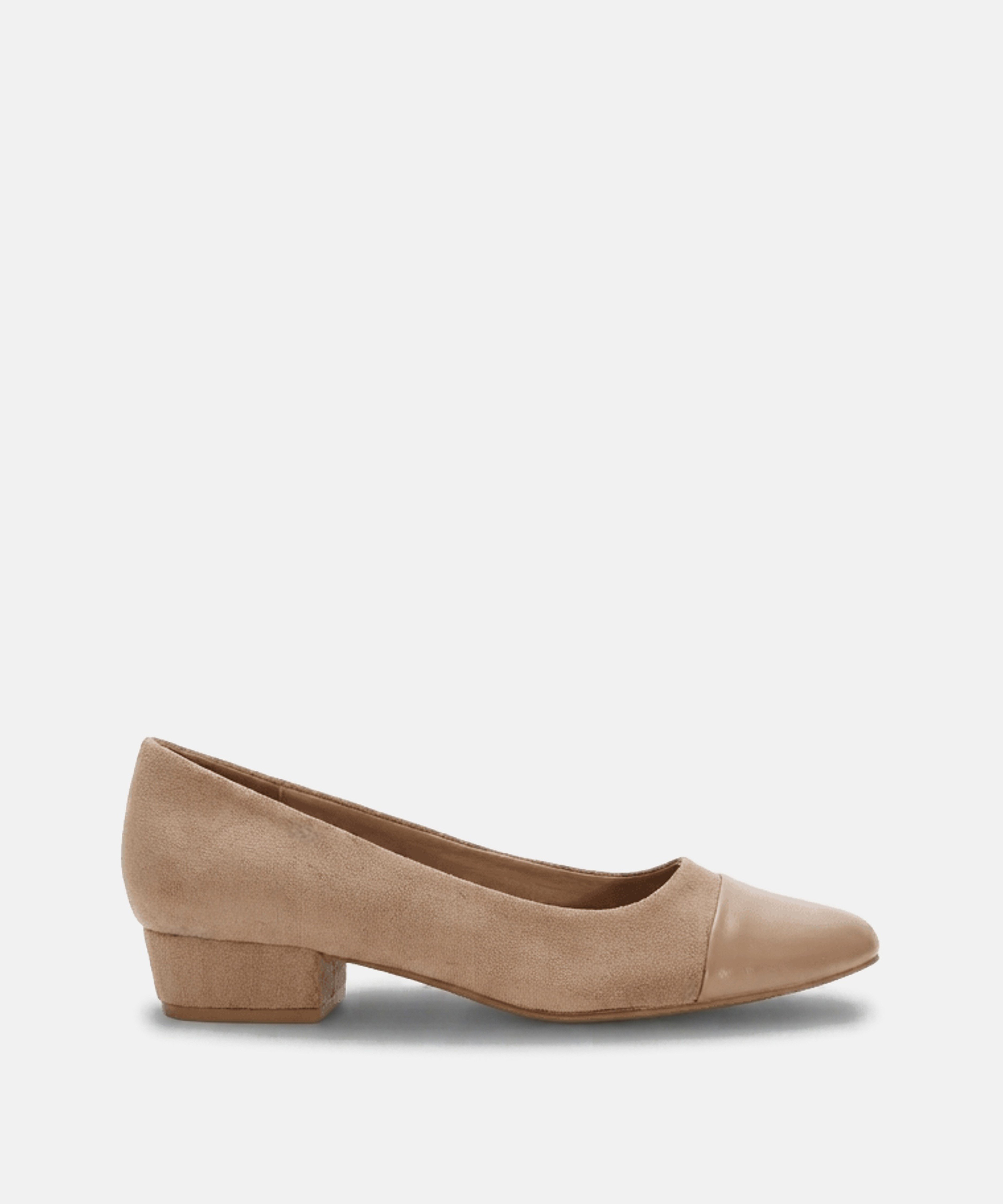 Zapato tac&oacute;n sal&oacute;n puntera 
